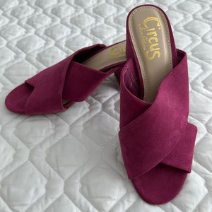 Circus by Sam Edelman Mules
